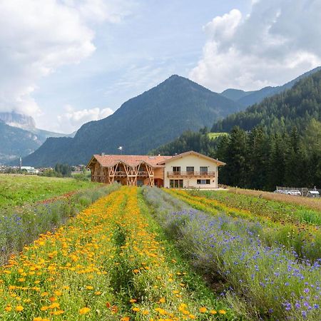 Eco-Green Fiores Agriturismo ヴィーゴ・ディ・ファッサ エクステリア 写真