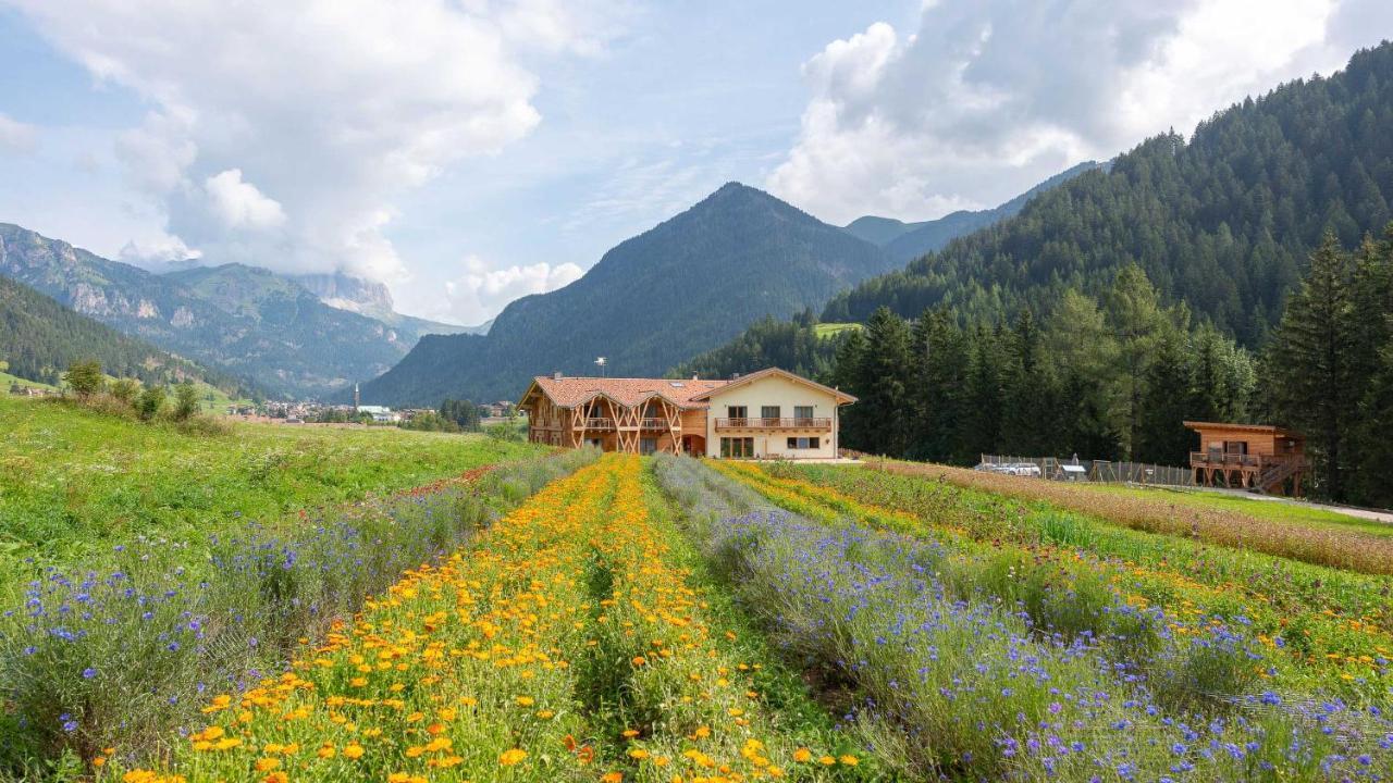 Eco-Green Fiores Agriturismo ヴィーゴ・ディ・ファッサ エクステリア 写真