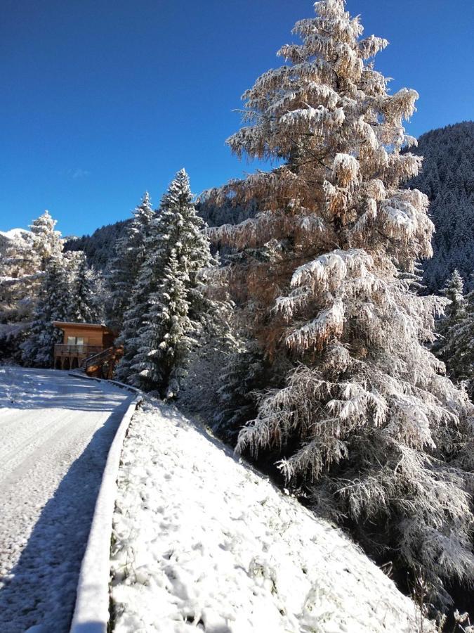 Eco-Green Fiores Agriturismo ヴィーゴ・ディ・ファッサ エクステリア 写真
