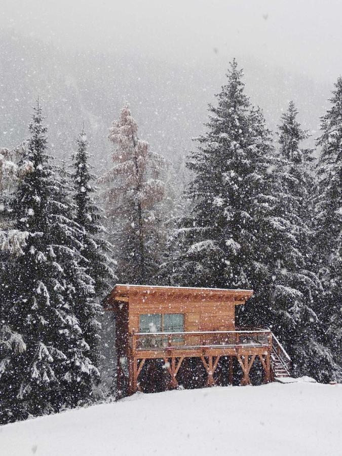 Eco-Green Fiores Agriturismo ヴィーゴ・ディ・ファッサ エクステリア 写真